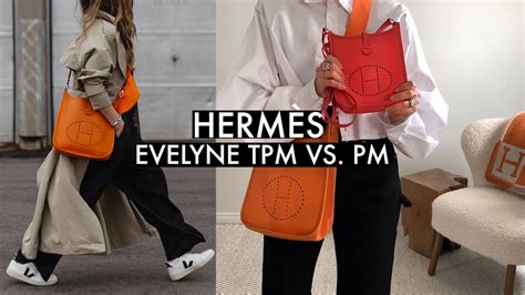 evelyne tpm size